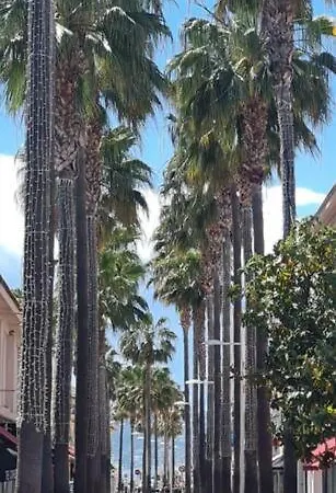 Pws - Sunny Modern Flat Near Juan Les Pins Pinede & - Terrace & Ac! Apartment